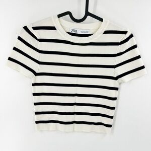 Zara Black and White Striped Crop Top